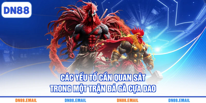 Đá Gà Cựa Dao - Khám Phá Đặc Trưng Của Màn Tranh Tài - spinlivo68