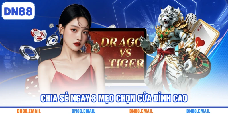 Luật Chơi Rồng Hổ | Bí Kíp 3 Cửa Cược Nâng Tỷ Lệ Thắng - spinlivo68