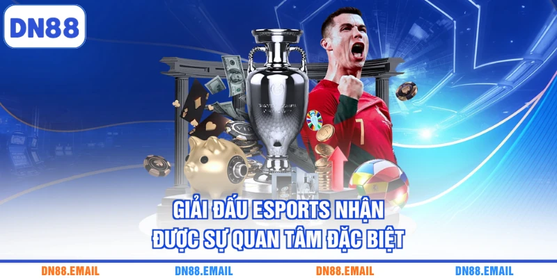 Thể Thao DN88 – Không Gian Cá Cược Đa Dạng, Hiện Đại - spinlivo68