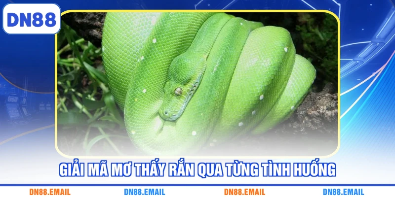 Mơ Thấy Rắn - Giải Mã Ý Nghĩa Những Con Số Liên Quan - spinlivo68