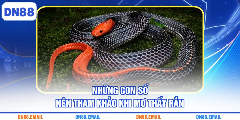 Mơ Thấy Rắn - Giải Mã Ý Nghĩa Những Con Số Liên Quan - spinlivo68