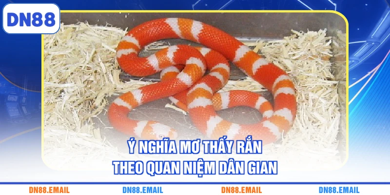 Mơ Thấy Rắn - Giải Mã Ý Nghĩa Những Con Số Liên Quan - spinlivo68